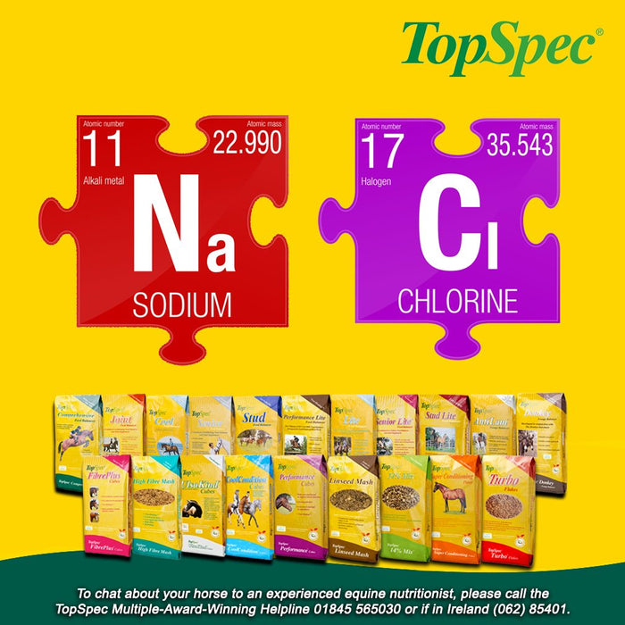 The-Role-of-Sodium-Chloride-in-a-Horses-Diet-Horse-Supplements Chestnut Mill