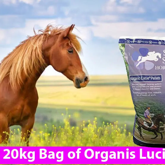 COMPETITION-WIN-a-20kg-Bag-of-Simple-System-Lucie-Pellets Chestnut Mill