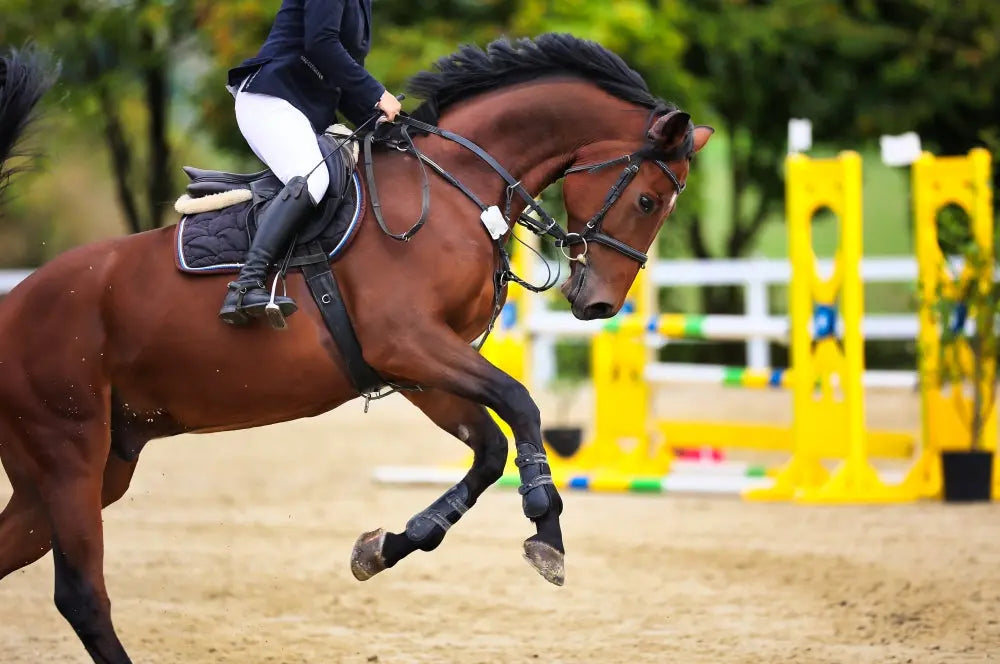 Calming-Horses-Top-Tips Chestnut Mill