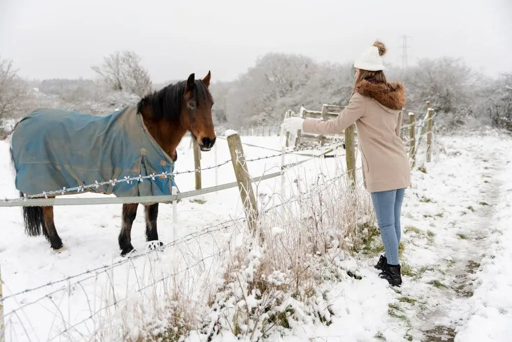 Comprehensive-Winter-Care-for-Your-Horse-Expert-Tips-for-the-Cold-Season Chestnut Mill