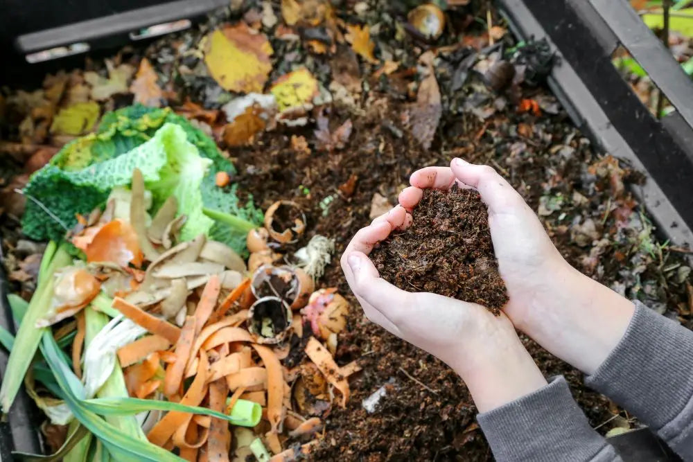 Cultivating-a-Greener-Future-Embrace-Sustainable-Gardening-Practices Chestnut Mill