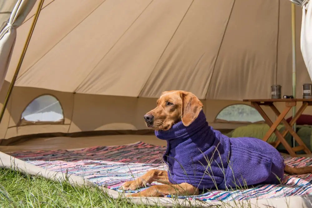 Dog-Coat-Size-Guide Chestnut Mill