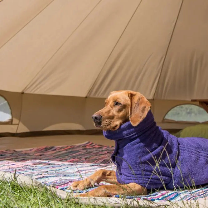 Dog-Coat-Size-Guide Chestnut Mill