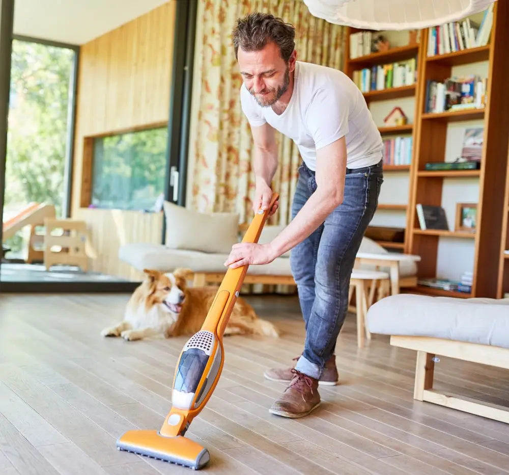 Dog-Safety-Spring-Cleaning Chestnut Mill