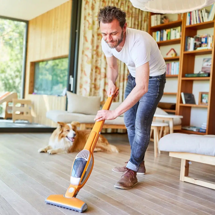 Dog-Safety-Spring-Cleaning Chestnut Mill