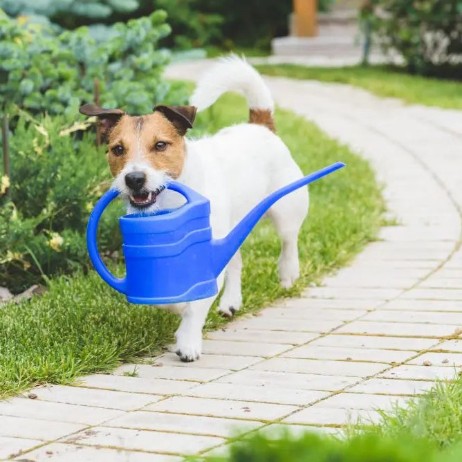 Dogs-Dangers-in-the-Garden Chestnut Mill