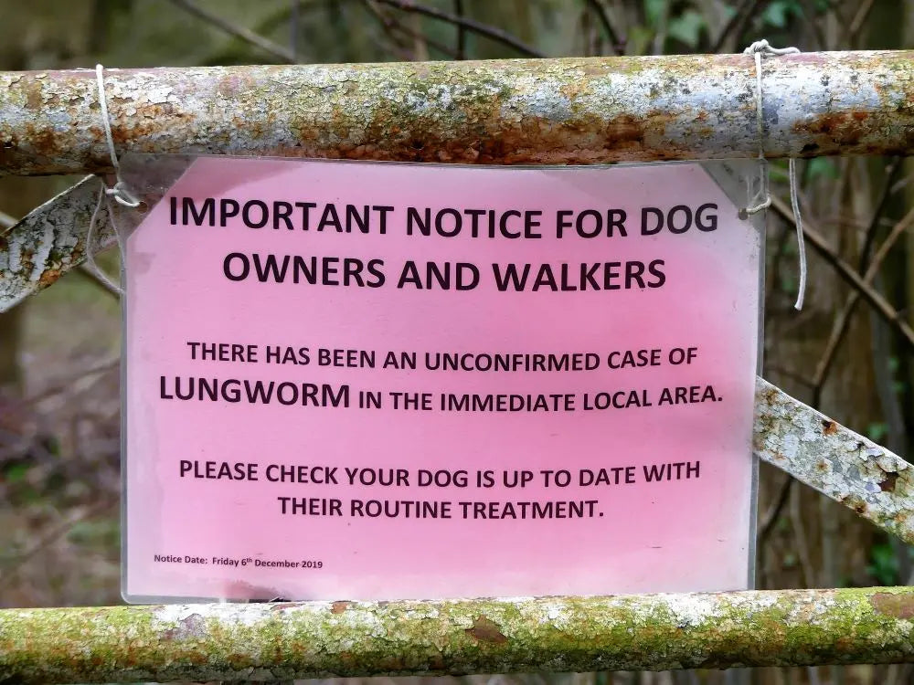 Dogs-The-Dangers-of-Lungworm Chestnut Mill