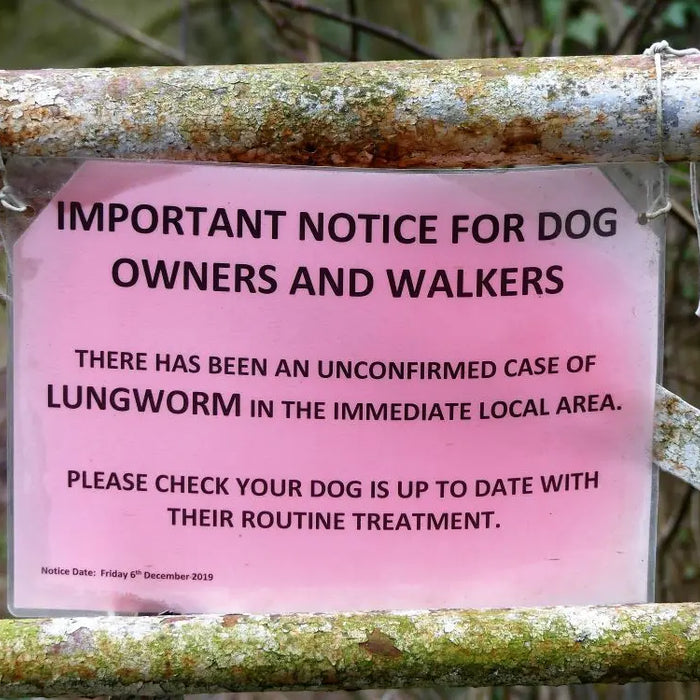 Dogs-The-Dangers-of-Lungworm Chestnut Mill