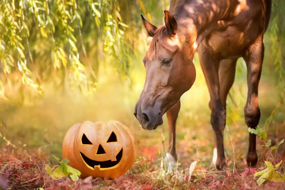 Equestrian-Halloween-Top-Treats-Toys-for-Your-Horse Chestnut Mill