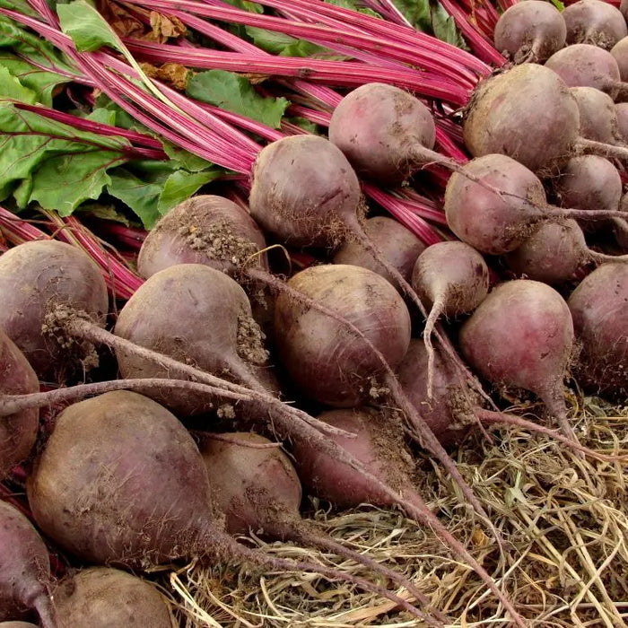 Grow-Your-Own-October-Jobs Chestnut Mill