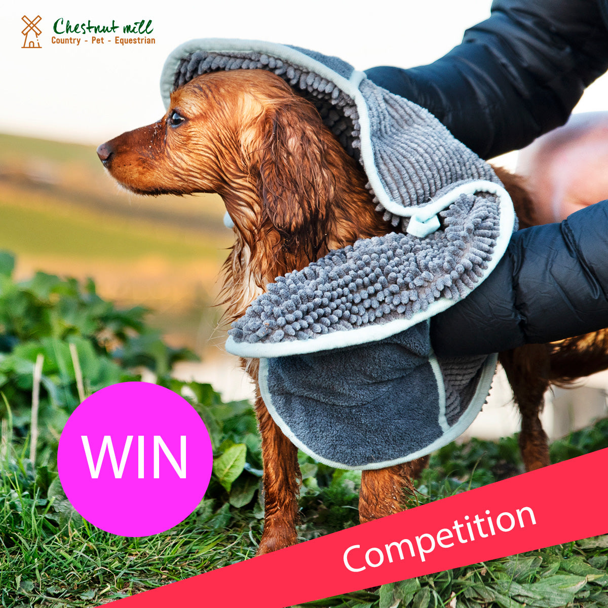Competition - Win a brand new Henry Wagg Pet Noodle Drying Glove Towel!!