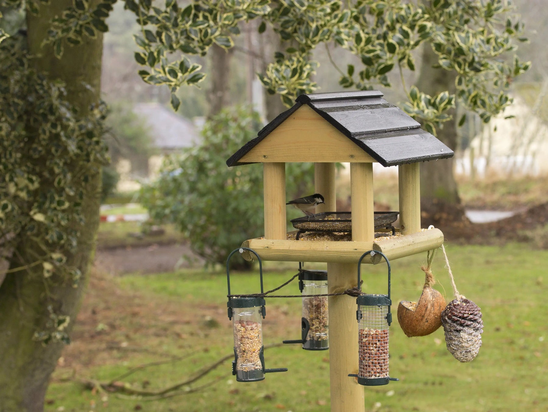 How-To-Attract-Wild-Birds-to-Your-Garden. Chestnut Mill