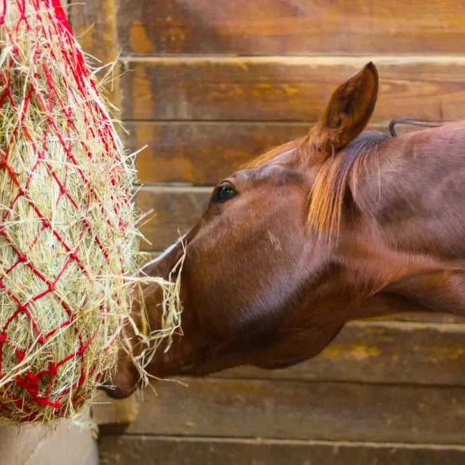 How-much-hay-should-a-horse-eat-A-Horse-hay-calculator-guide Chestnut Mill