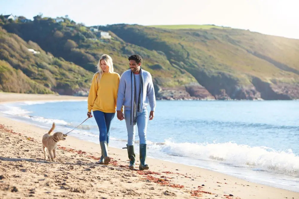 Planning-the-Perfect-UK-Holiday-with-Your-Dog-Top-Tips Chestnut Mill