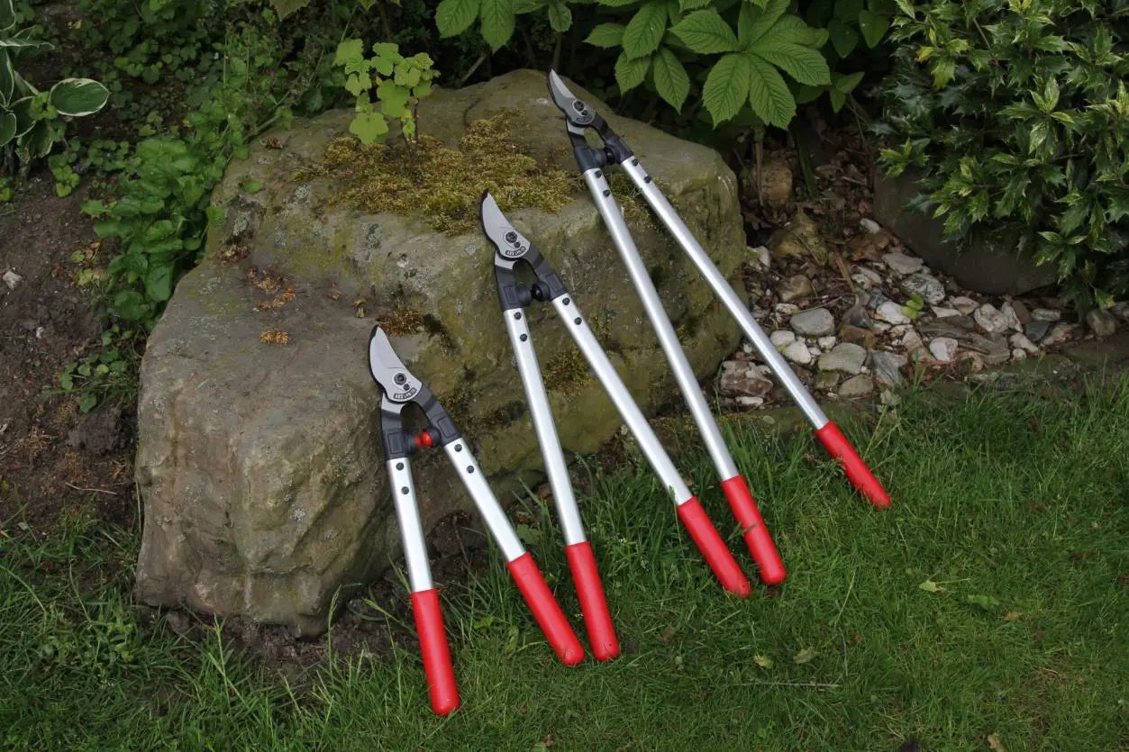 The-English-Garden-s-Best-Professional-Loppers-Ars-LPB-30 Chestnut Mill