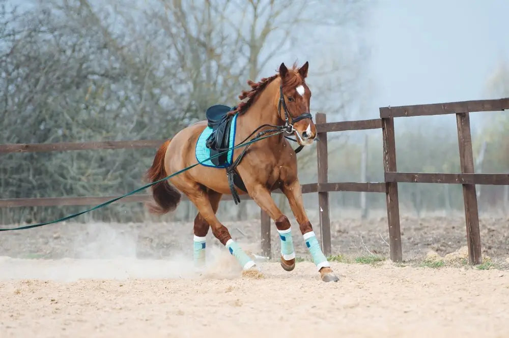 The-Equestrian-s-Guide-to-Bringing-Horses-Back-into-Work Chestnut Mill