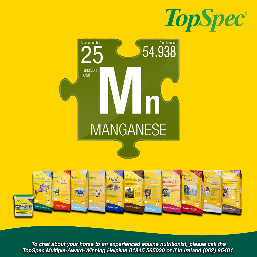 The-Role-of-Manganese-in-a-Horses-Diet-Horse-Supplements Chestnut Mill