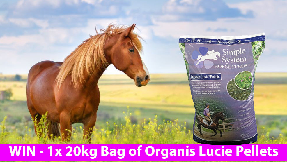 COMPETITION - WIN a 20kg Bag of Simple System Lucie Pellets