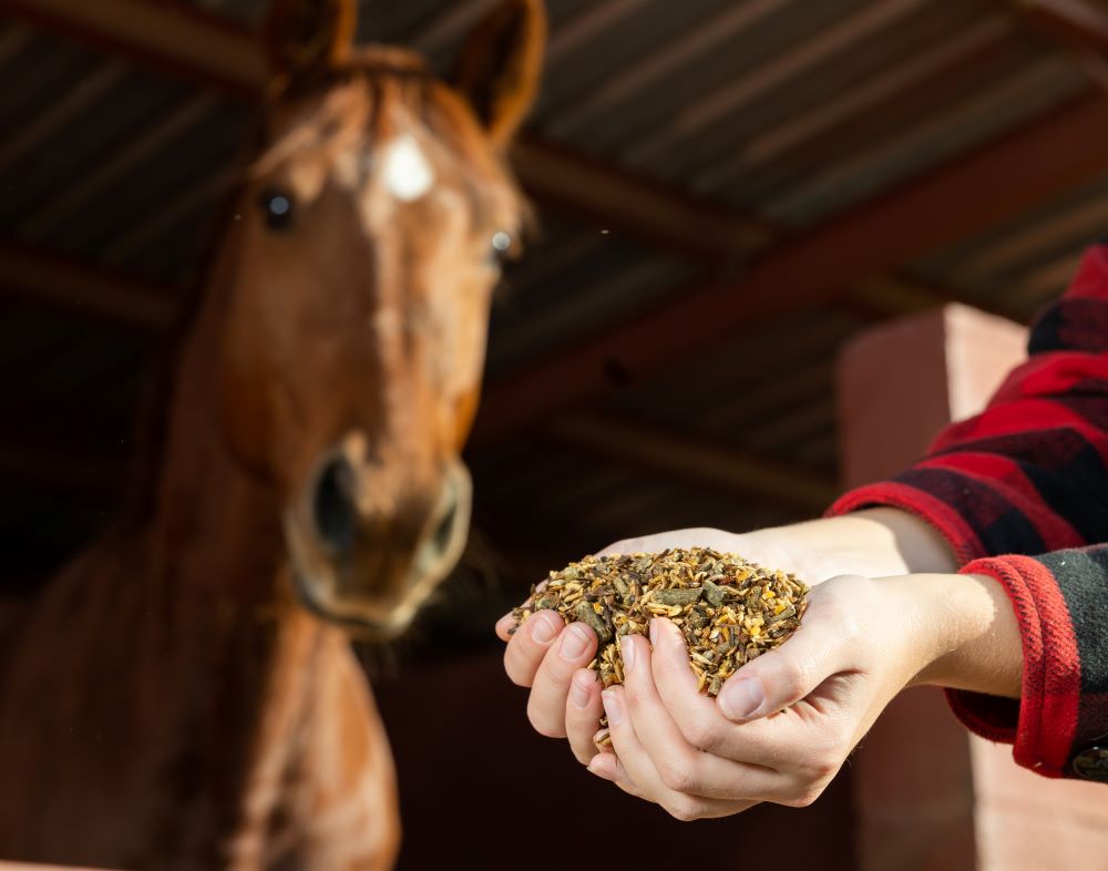 Feeding-adjustments-for-sudden-stable-rest Chestnut Mill