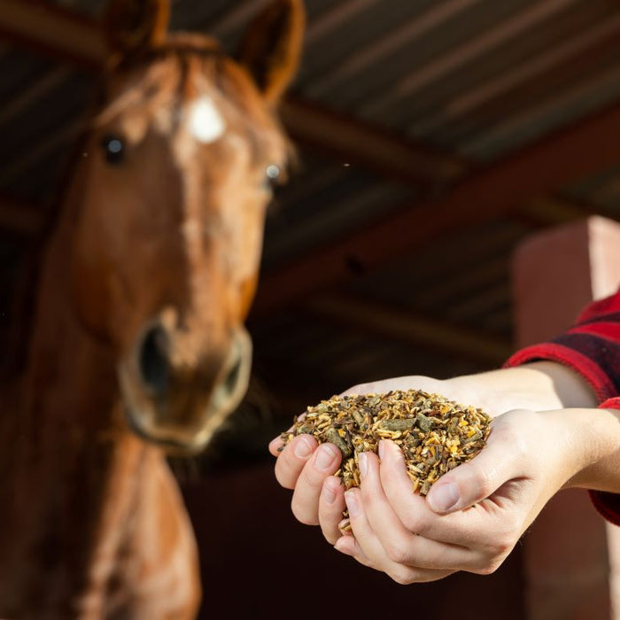 Feeding-adjustments-for-sudden-stable-rest Chestnut Mill