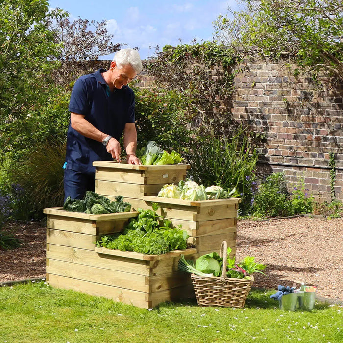 4 TIER RAISED BED - Chestnut Mill