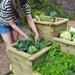 4 TIER RAISED BED - Chestnut Mill