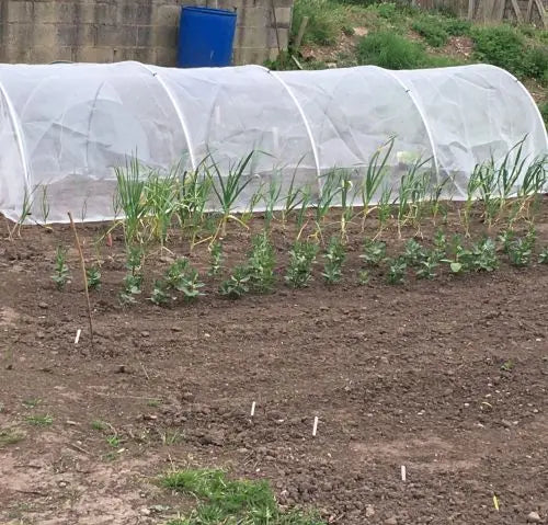 Aluminium Large Hoop Tunnel and Netting Kit - 80cm Tall x 1.55m Wide - Various Lengths and Netting - Chestnut Mill