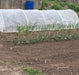 Aluminium Large Hoop Tunnel and Netting Kit - 80cm Tall x 1.55m Wide - Various Lengths and Netting - Chestnut Mill