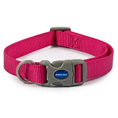 Ancol Raspberry Adjustable Nylon Dog Collar - Various Sizes - Chestnut Mill