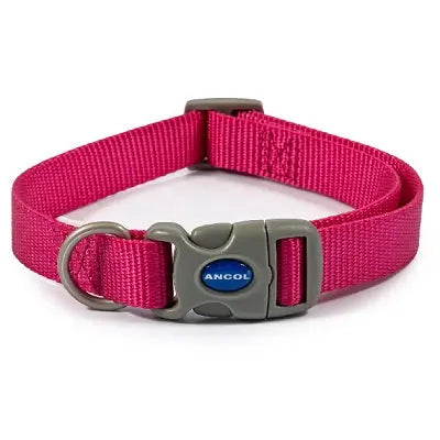 Ancol Raspberry Adjustable Nylon Dog Collar - Various Sizes - Chestnut Mill