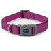 Ancol Viva Adjustable Quick Fit Collar Purple - Various Sizes - Chestnut Mill