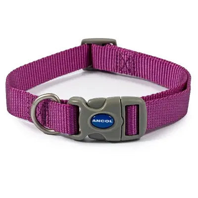 Ancol Viva Adjustable Quick Fit Collar Purple - Various Sizes - Chestnut Mill