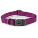 Ancol Viva Adjustable Quick Fit Collar Purple - Various Sizes - Chestnut Mill