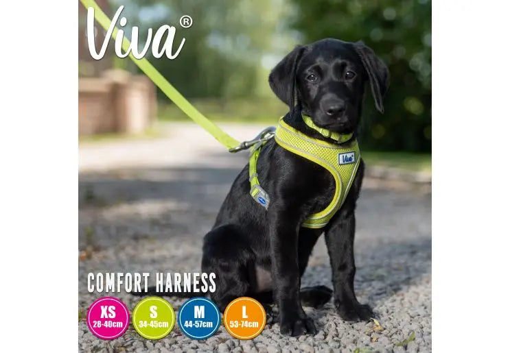 Ancol Viva Mesh Dog Harness Black - Various Sizes Ancol