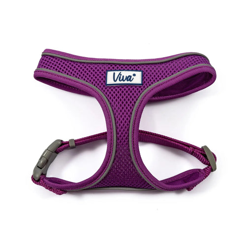 Ancol Viva Mesh Dog Harness in Purple - Various Sizes - Chestnut Mill