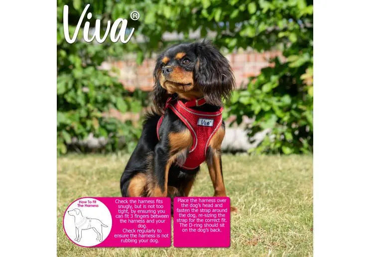 Ancol Viva Mesh Dog Harness in Red - Various Sizes Ancol