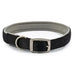 Ancol Viva Padded Buckle Collar Black - Various Sizes - Chestnut Mill