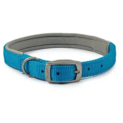 Ancol Viva Padded Buckle Collar Blue - Various Sizes - Chestnut Mill