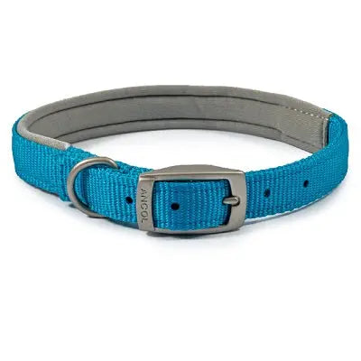 Ancol Viva Padded Buckle Collar Blue - Various Sizes - Chestnut Mill