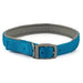 Ancol Viva Padded Buckle Collar Blue - Various Sizes - Chestnut Mill