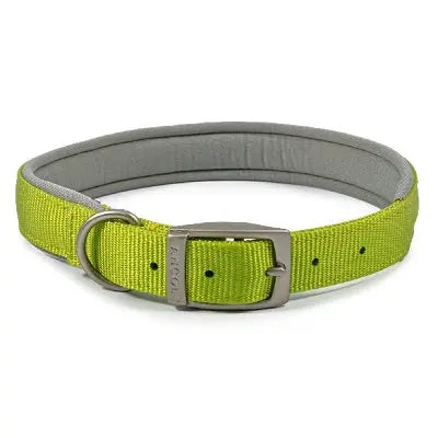 Ancol Viva Padded Buckle Collar Lime - Various Sizes - Chestnut Mill