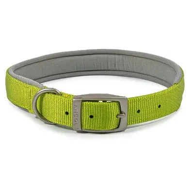 Ancol Viva Padded Buckle Collar Lime - Various Sizes - Chestnut Mill