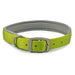 Ancol Viva Padded Buckle Collar Lime - Various Sizes - Chestnut Mill