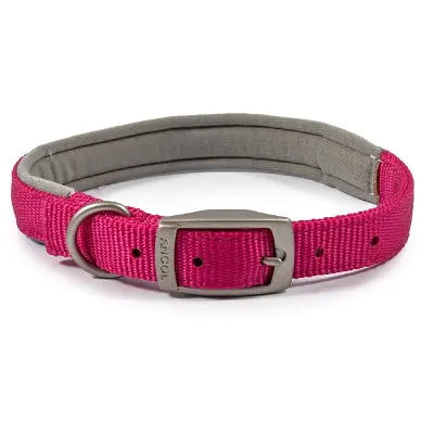 Ancol Viva Padded Buckle Collar Pink - Various Sizes - Chestnut Mill