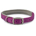 Ancol Viva Padded Buckle Collar Purple - Various Sizes - Chestnut Mill