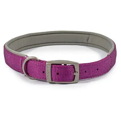 Ancol Viva Padded Buckle Collar Purple - Various Sizes - Chestnut Mill