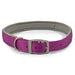 Ancol Viva Padded Buckle Collar Purple - Various Sizes - Chestnut Mill