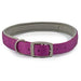 Ancol Viva Padded Buckle Collar Purple - Various Sizes - Chestnut Mill