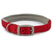 Ancol Viva Padded Buckle Collar Red - Various Sizes - Chestnut Mill