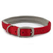 Ancol Viva Padded Buckle Collar Red - Various Sizes - Chestnut Mill